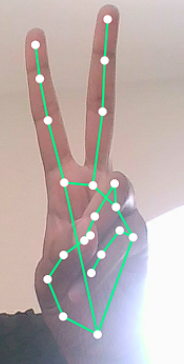 Forward flight command gesture